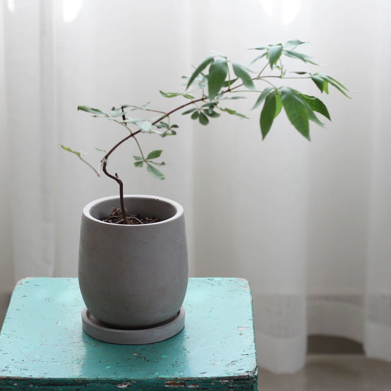 Cement Flower Pot with Drainage Tray – Chinese Style Planter - Smart Living Co.